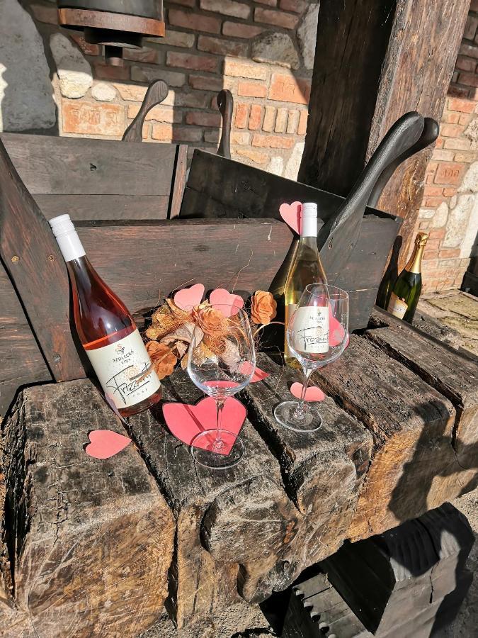 Penzion Sedlecka Vina Седлец Екстериор снимка